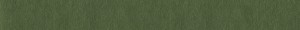 footer_bg